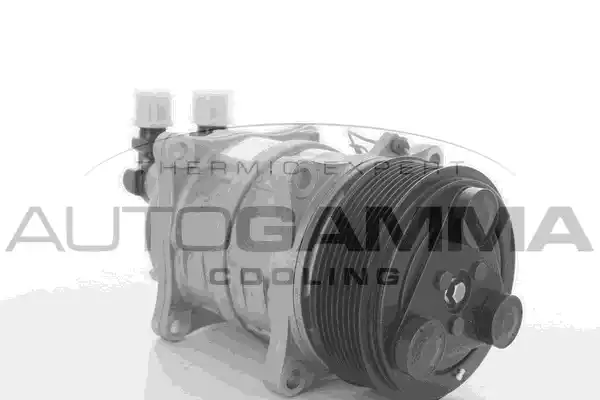 109260 AUTOGAMMA kompresszor, klíma